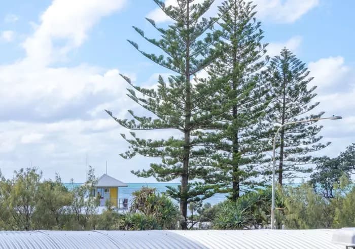 360/180 Alexandra Parade, Alexandra Headland, Tender - Thumbnail 3