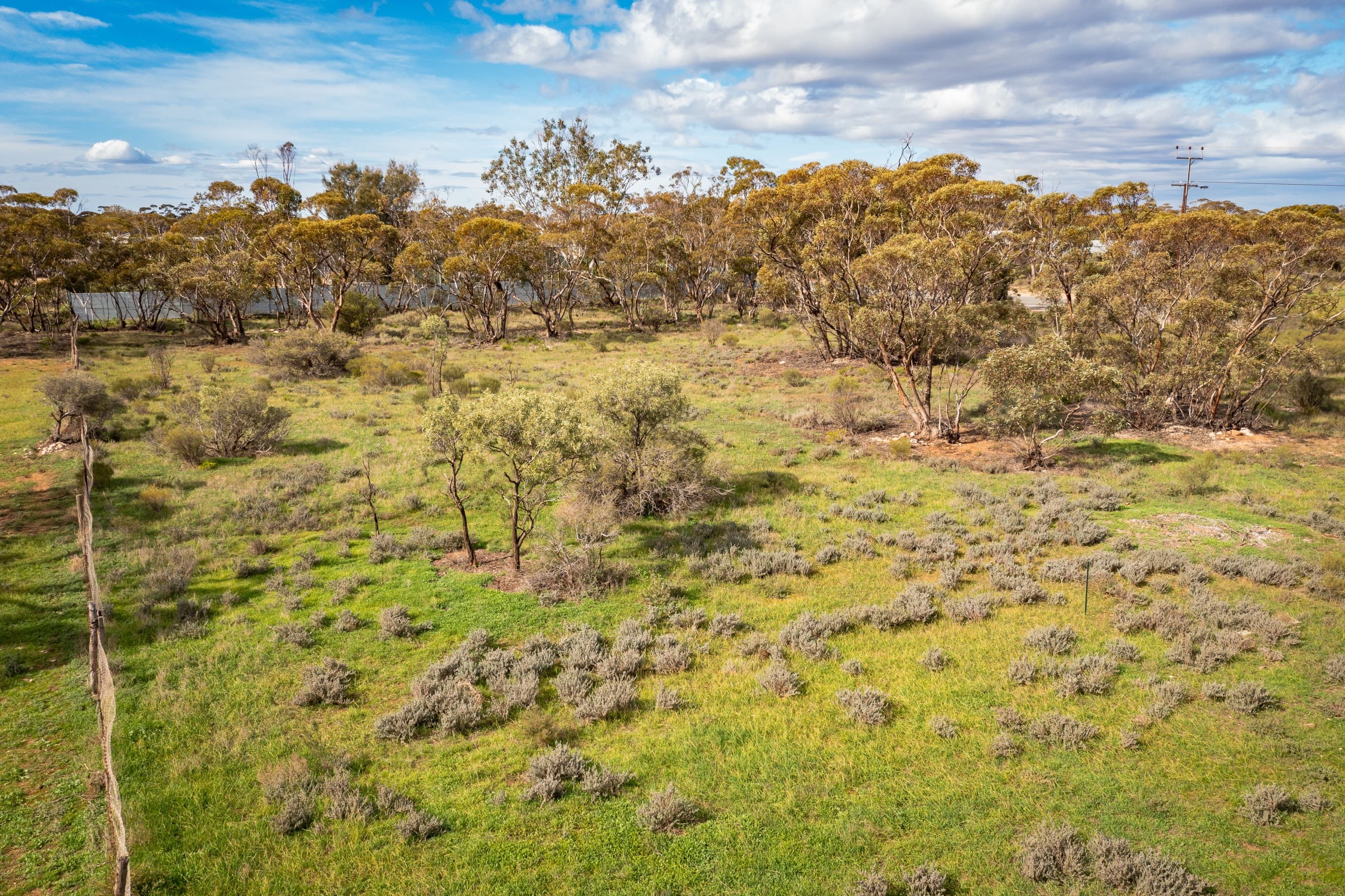 Lot/50 Angaston Swan Reach Road, SEDAN, Sedan - Thumbnail 3
