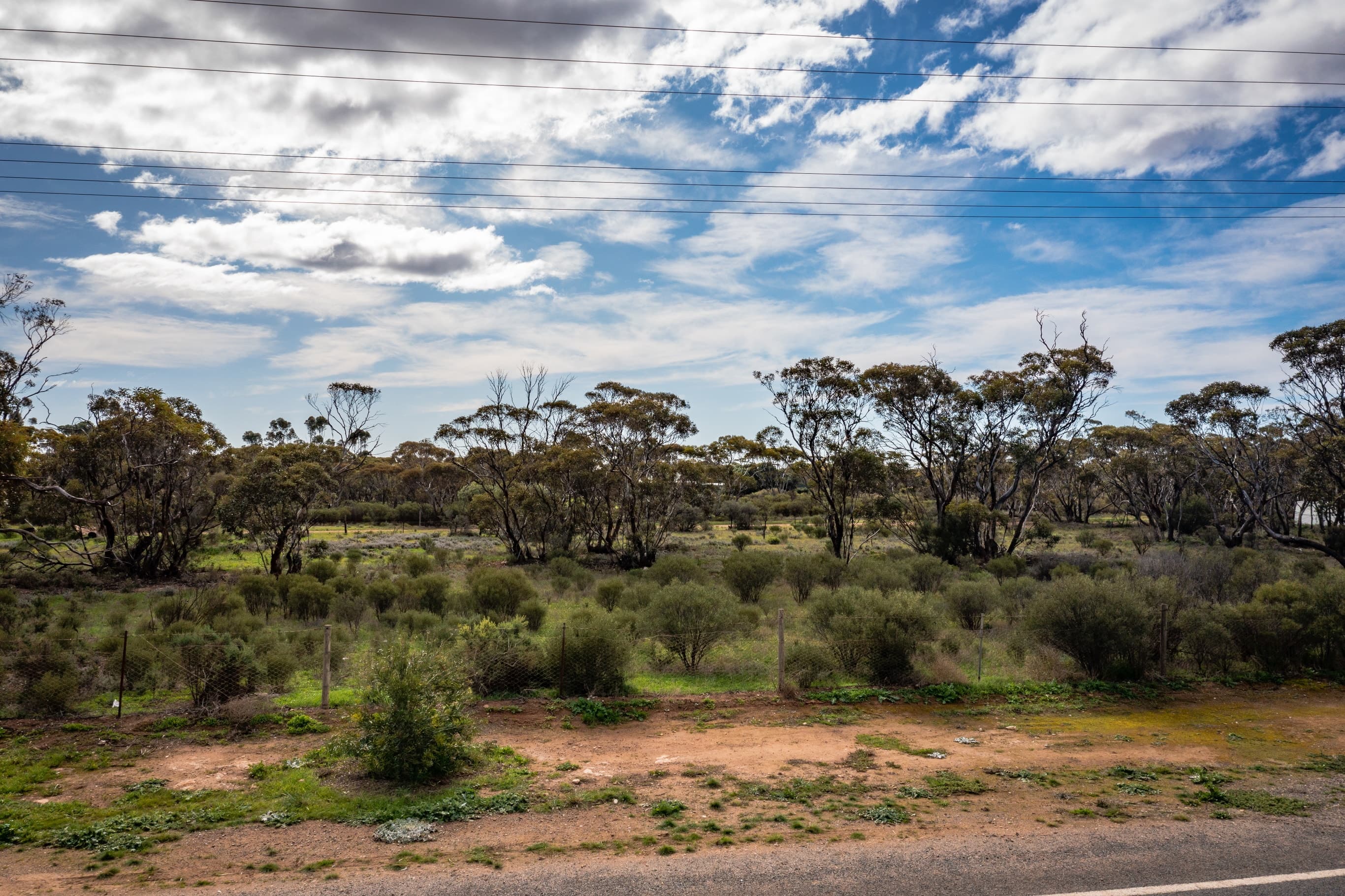Lot/50 Angaston Swan Reach Road, SEDAN, Sedan - Thumbnail 4