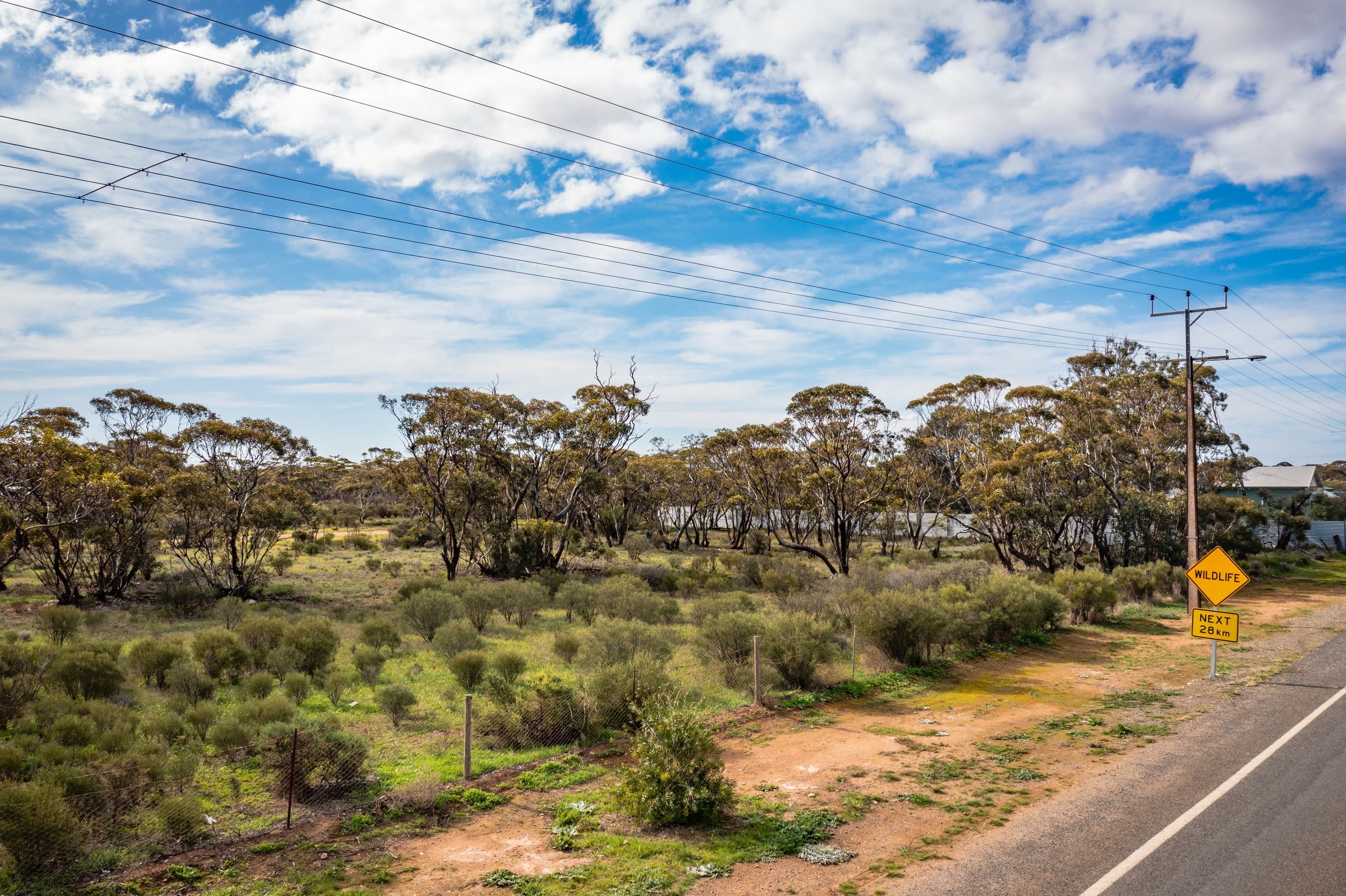 Lot/50 Angaston Swan Reach Road, SEDAN, Sedan - Thumbnail 5