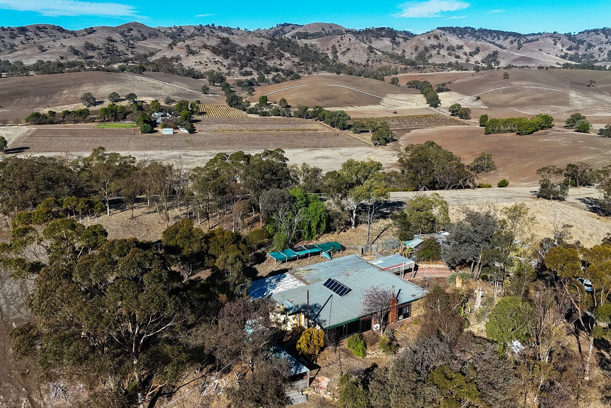 53 Mclaren Hill Road, LYNDOCH, SA 5351, Lyndoch - Thumbnail 5