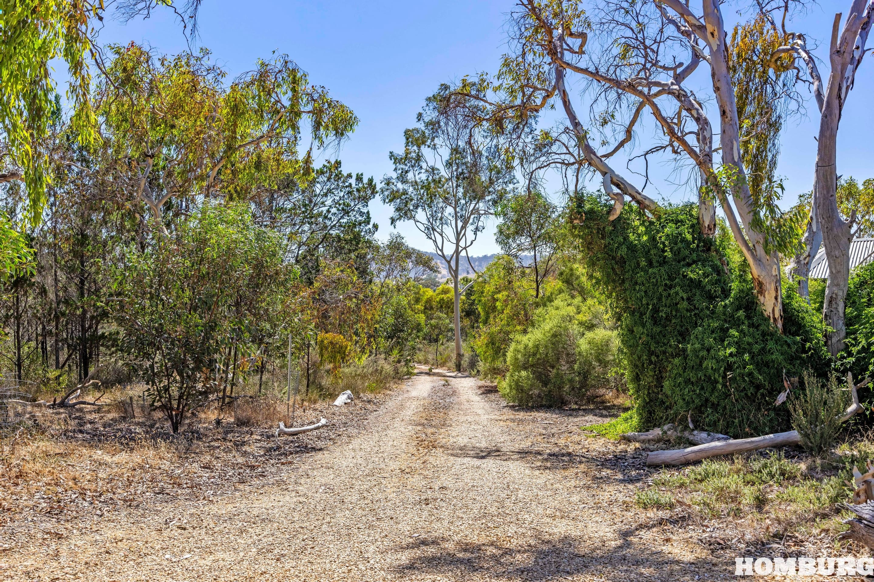 187 Gottwald Road, WILLIAMSTOWN, SA 5351, Williamstown - Thumbnail 3