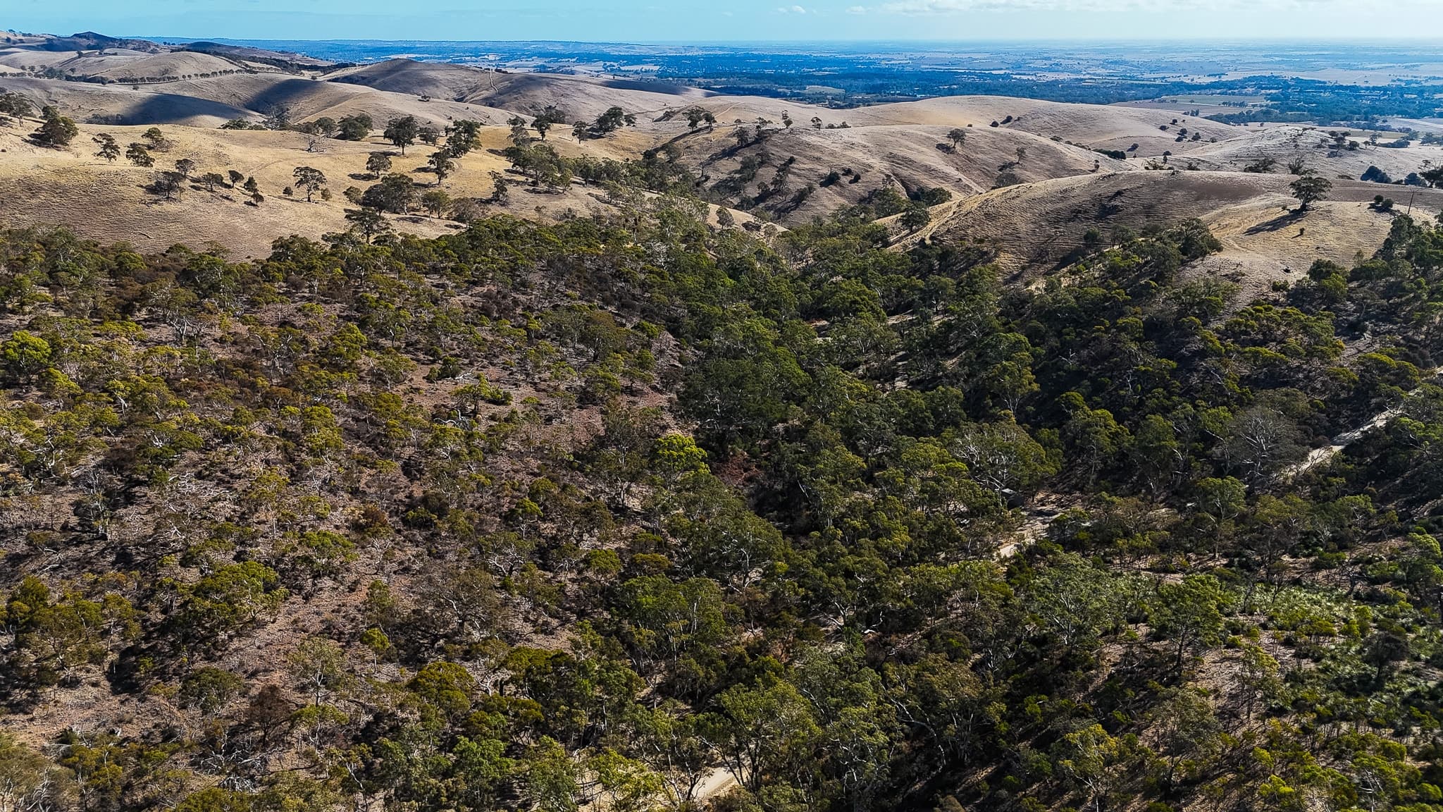 Lot 564 Little Kaiserstuhl Road, TANUNDA, Tanunda - Thumbnail 3