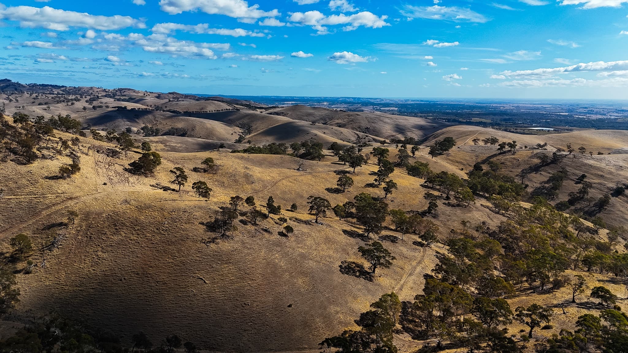 Lot 564 Little Kaiserstuhl Road, TANUNDA, Tanunda - Thumbnail 4