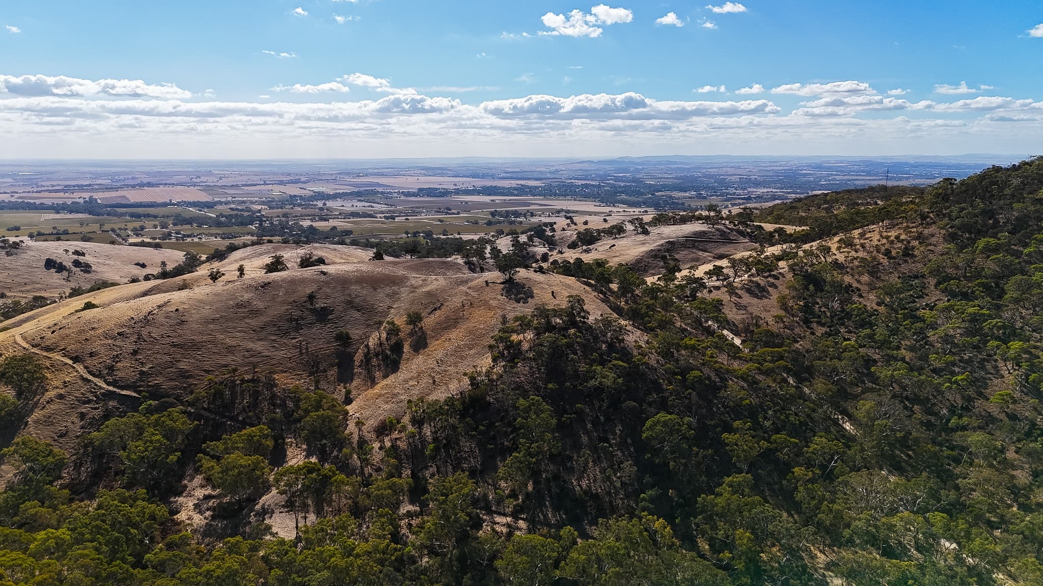 Lot 564 Little Kaiserstuhl Road, TANUNDA, Tanunda - Thumbnail 5