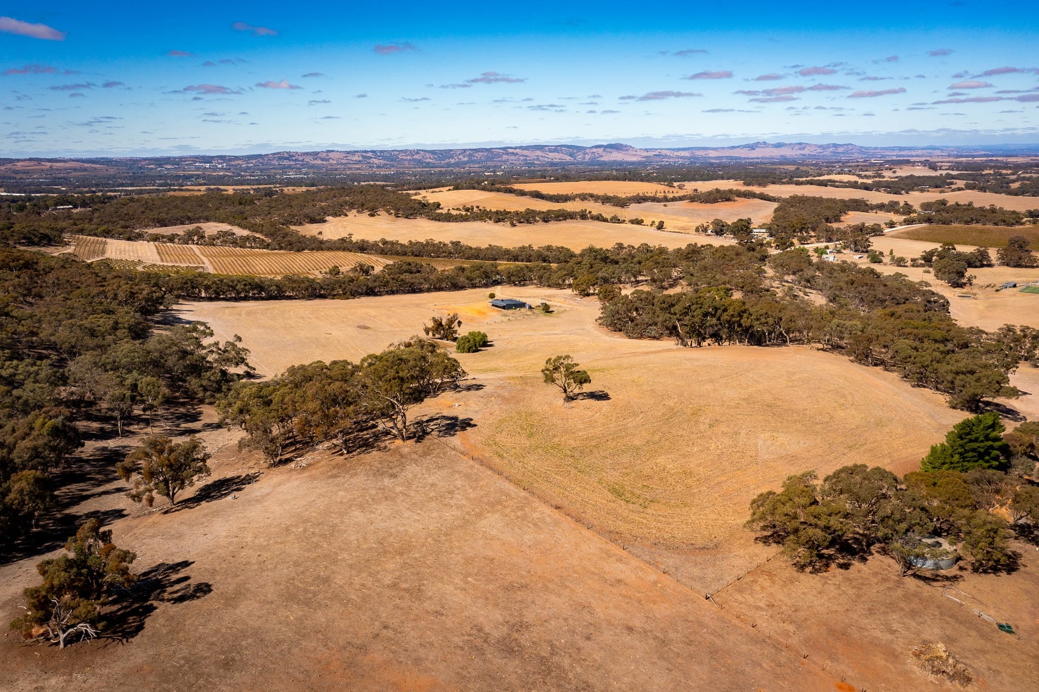 Lot 182 Burdon Road, NURIOOTPA, Nuriootpa - Thumbnail 2