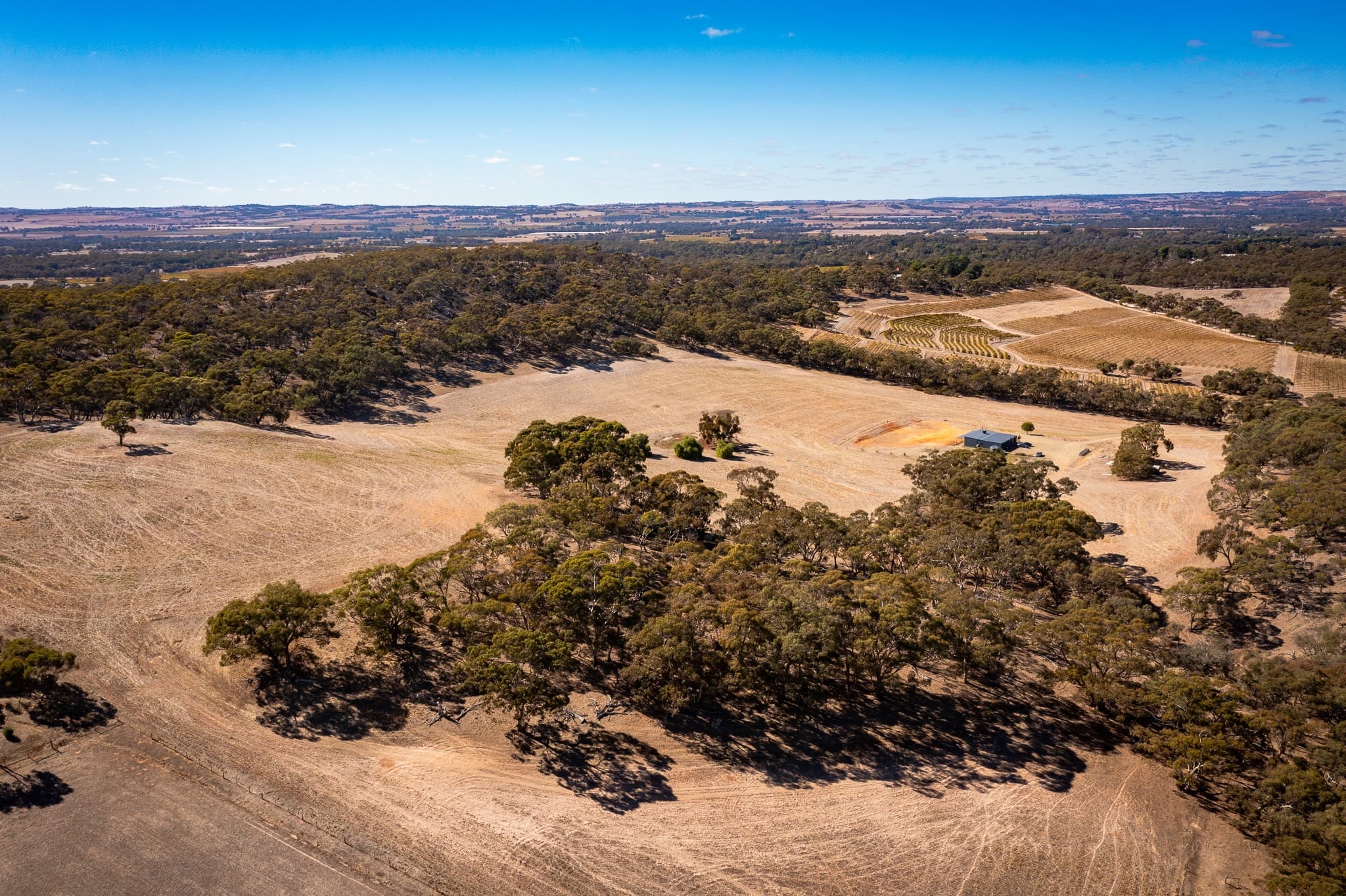 Lot 182 Burdon Road, NURIOOTPA, Nuriootpa - Thumbnail 8