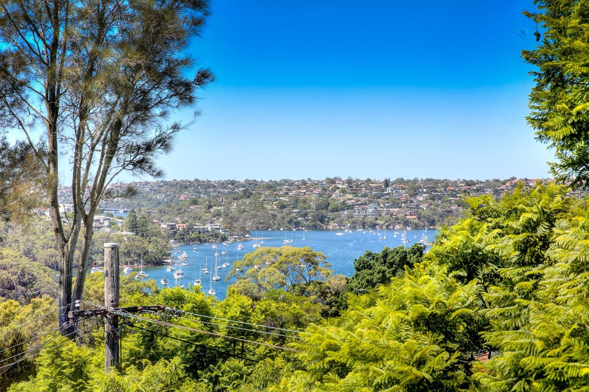 5 Stratford Street, Cammeray, Cammeray - Image 1