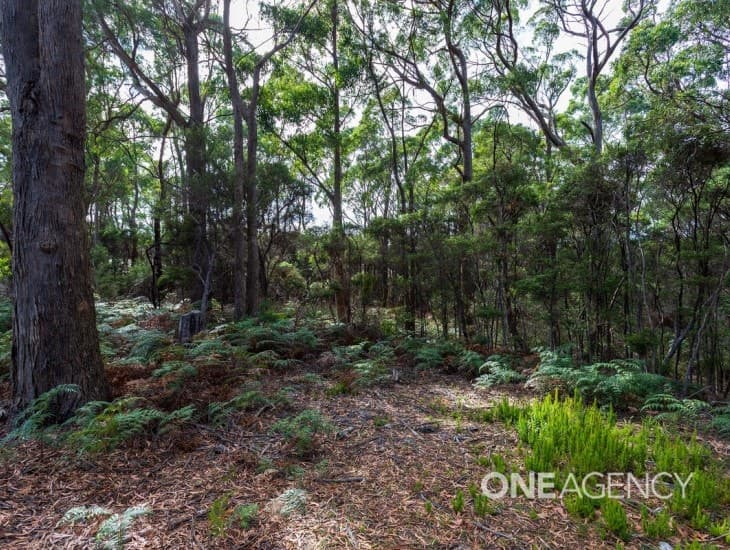 80 Allegra Drive, Heybridge, Heybridge - Thumbnail 5
