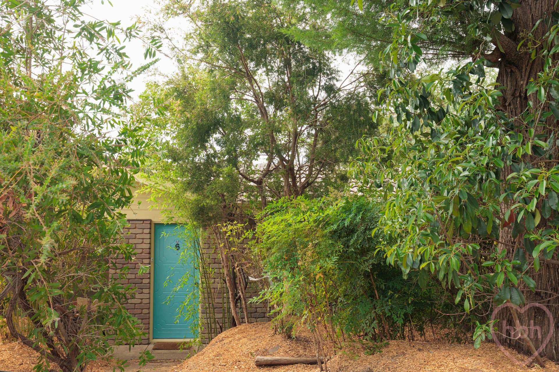 6 Tilden Place, Cook - Image 1