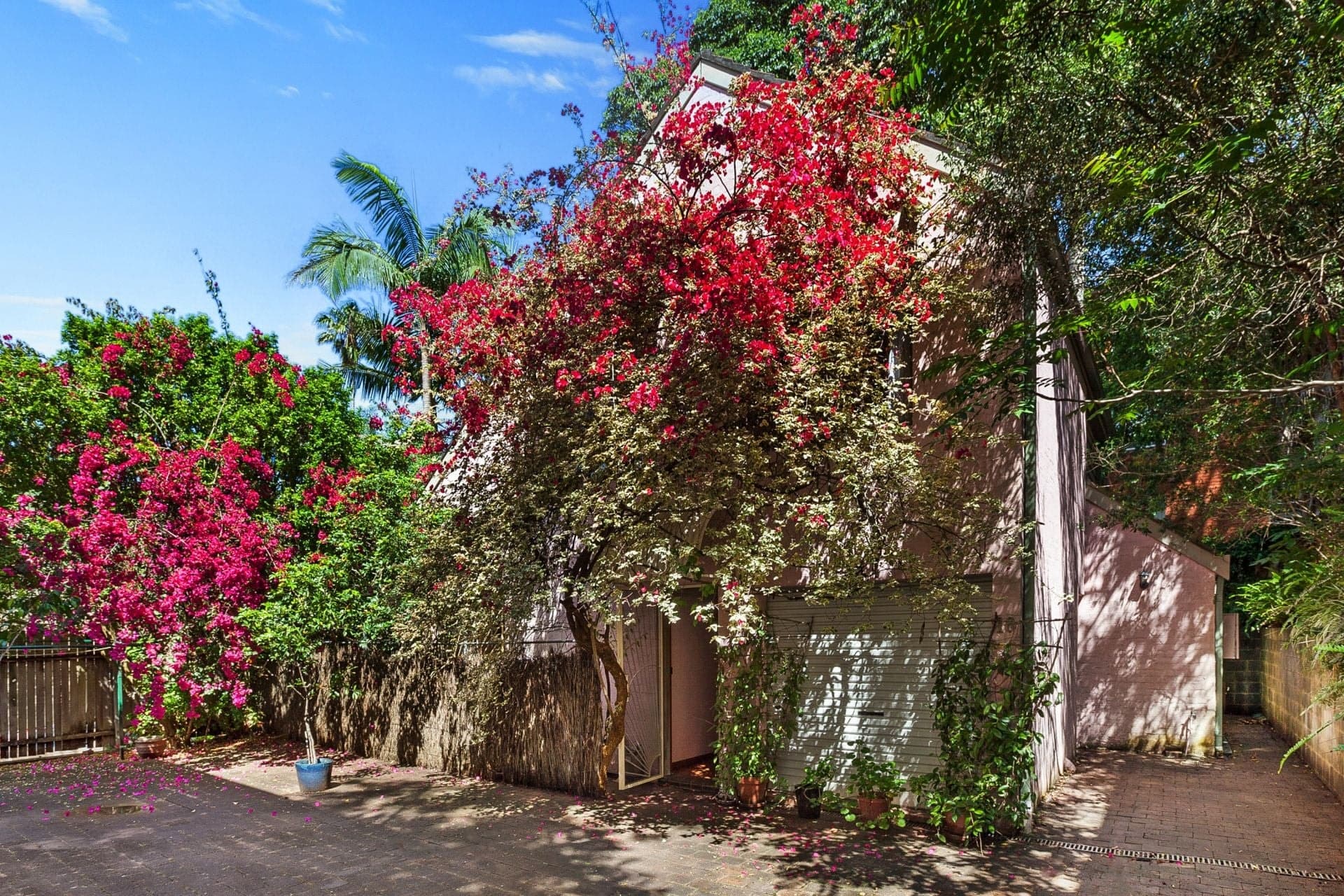 16 Thrupp Street, Neutral Bay, Neutral Bay - Image 1