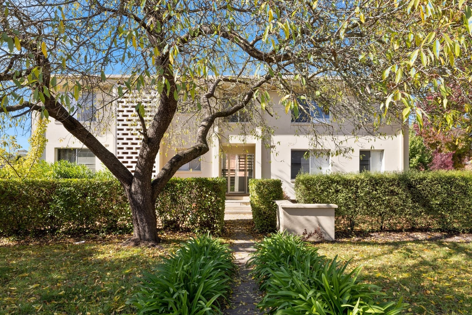 5/78 Hicks Street, Red Hill ACT 2603, Red Hill - Thumbnail 8
