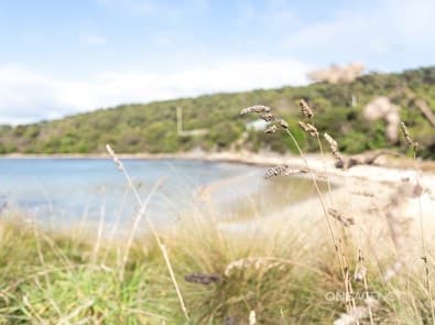 15 Cowrie Point Road, Cowrie Point, Cowrie Point - Thumbnail 4