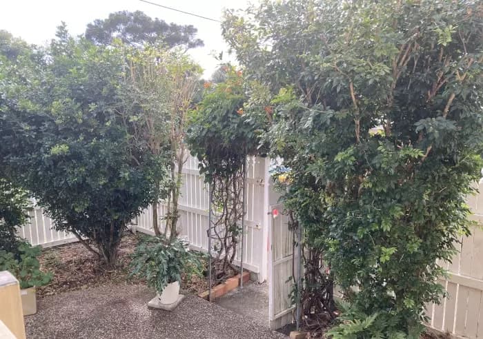 199 King St, Clontarf, Clontarf - Thumbnail 5