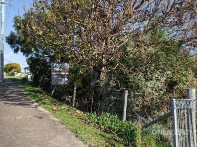 14 Belton Street, Hillcrest, Hillcrest - Thumbnail 3
