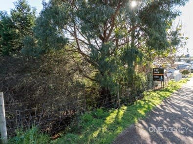 14 Belton Street, Hillcrest, Hillcrest - Thumbnail 4