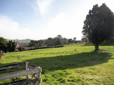 11 Dallas Road, Somerset, Somerset - Thumbnail 5