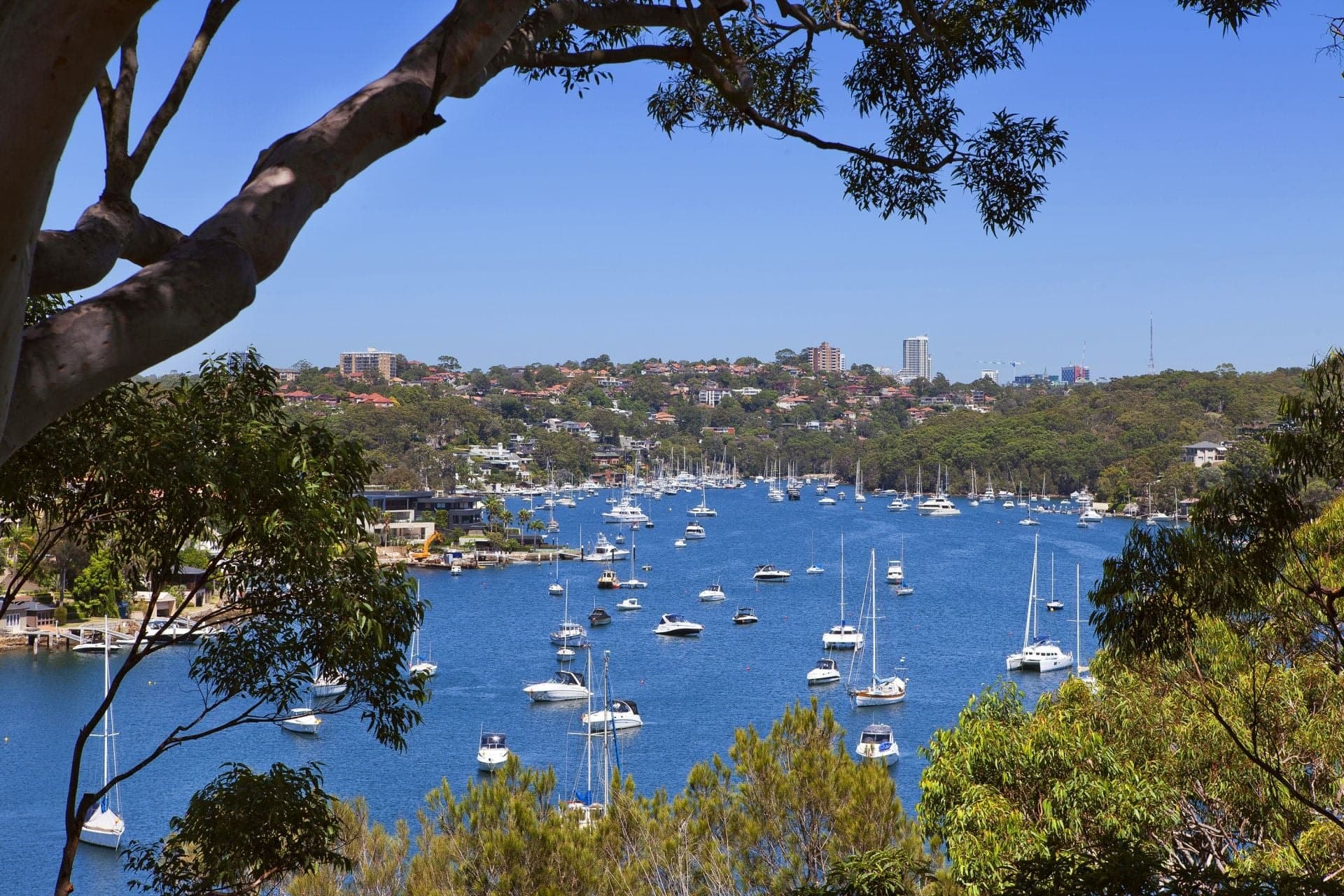 28 Bay Street, Mosman, Mosman - Image 1