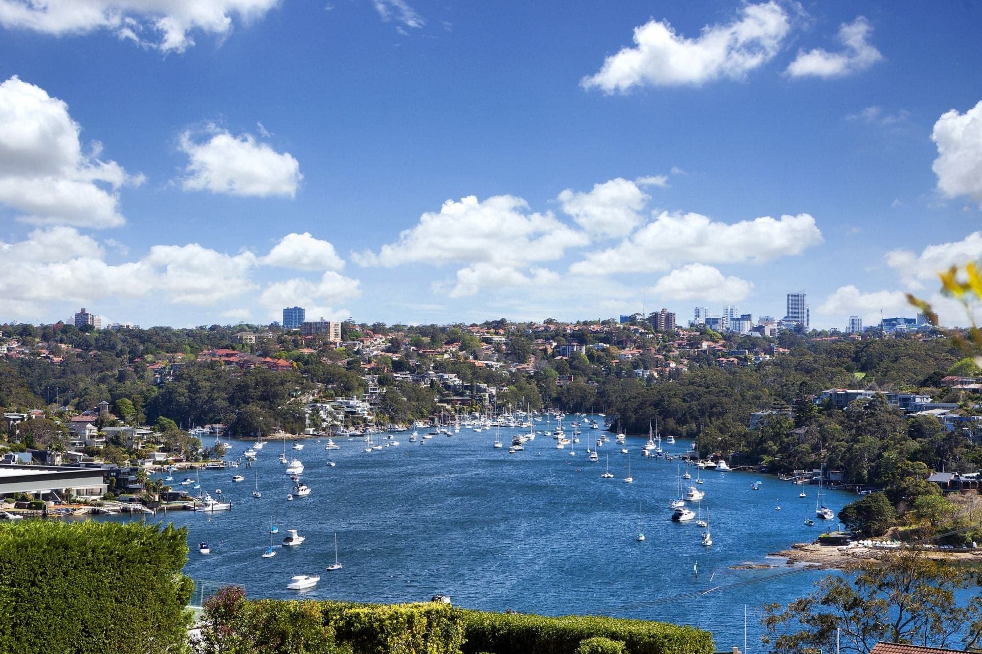 1 Euryalus Street, Mosman, Mosman - Image 1