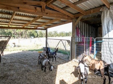 28a & 26 Oldina Road, Wynyard, Wynyard - Thumbnail 4