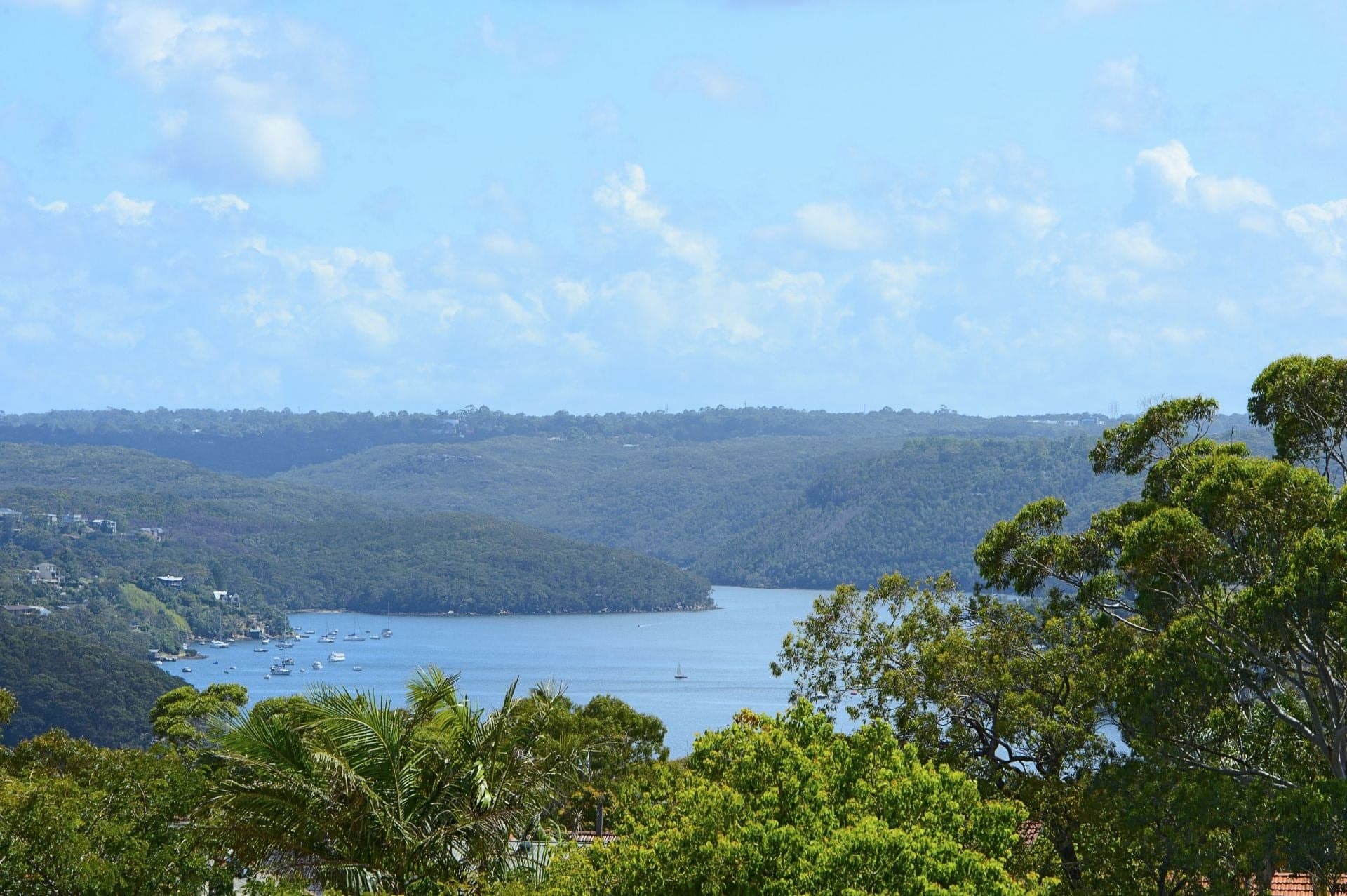60/16 Bardwell Road, Mosman, Mosman - Image 1