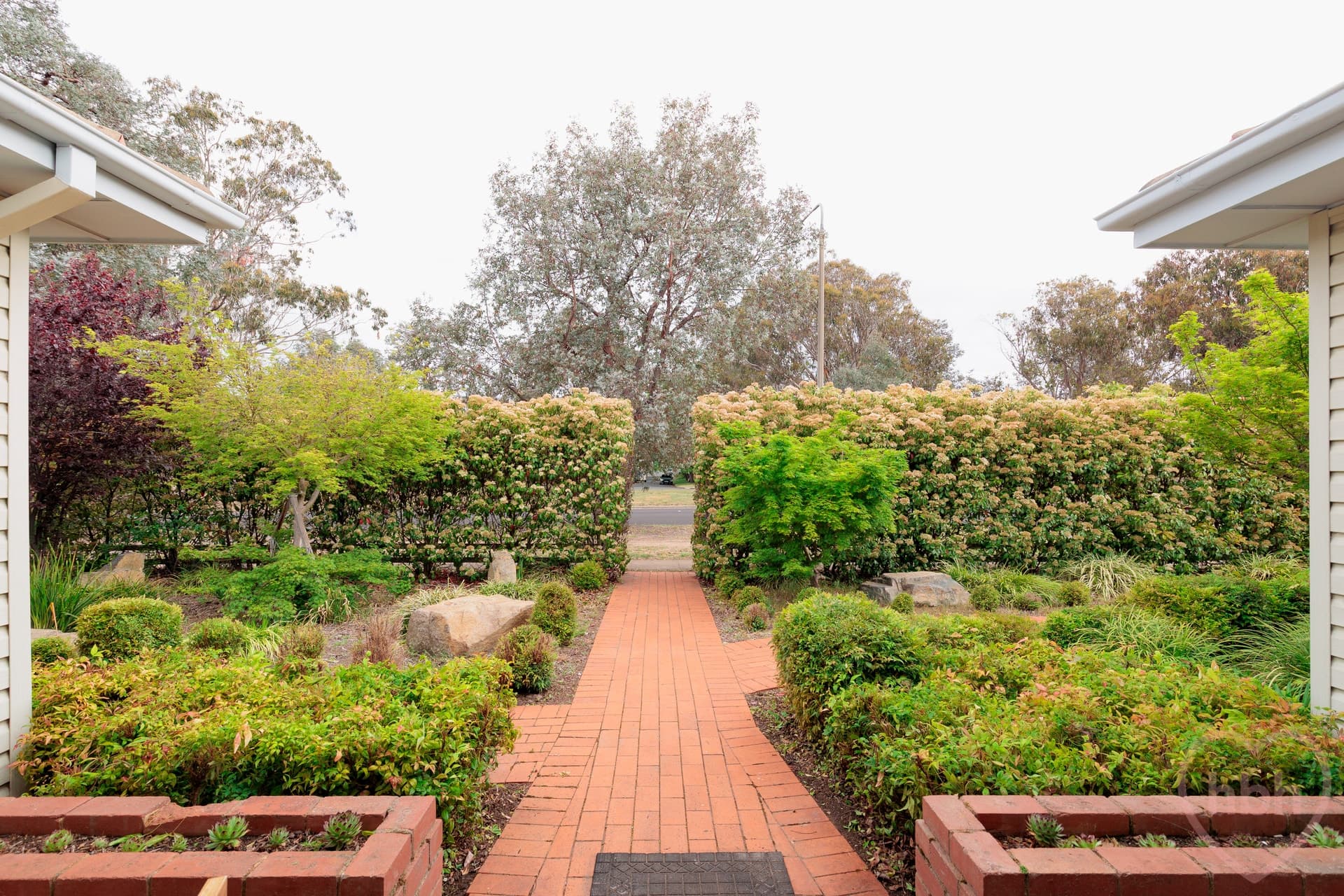 7 MacArthur Avenue, O'Connor - Thumbnail 4