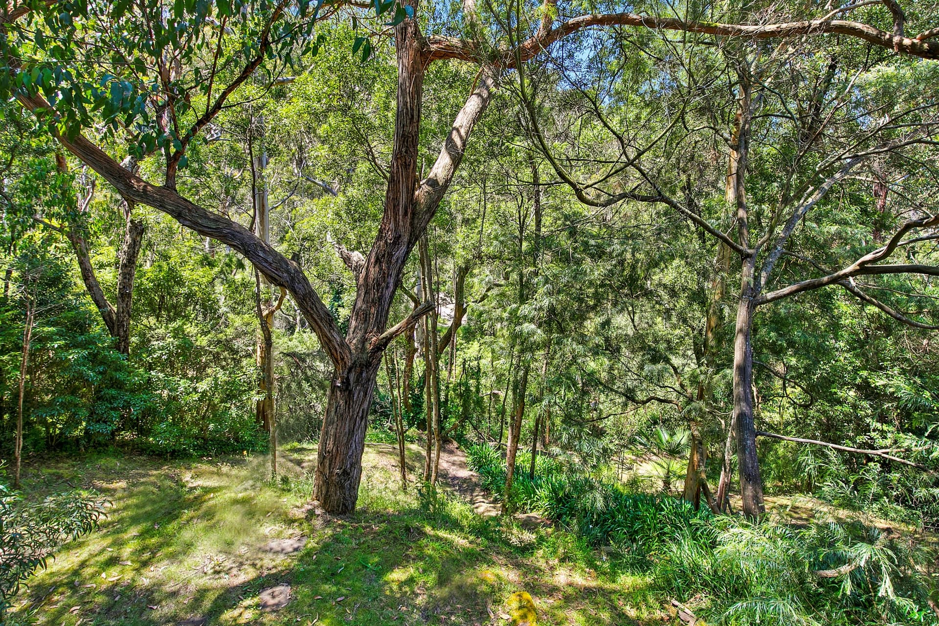 18 Richardson Boulevard LORNE VIC, Lorne - Thumbnail 5