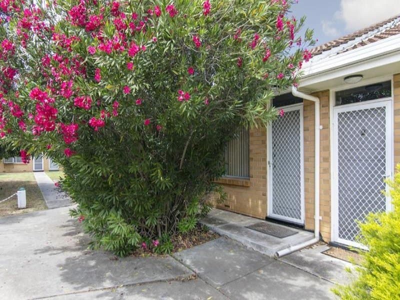 3/13 Adelaide Street, Maylands, SA, 5069, Maylands - Thumbnail 3