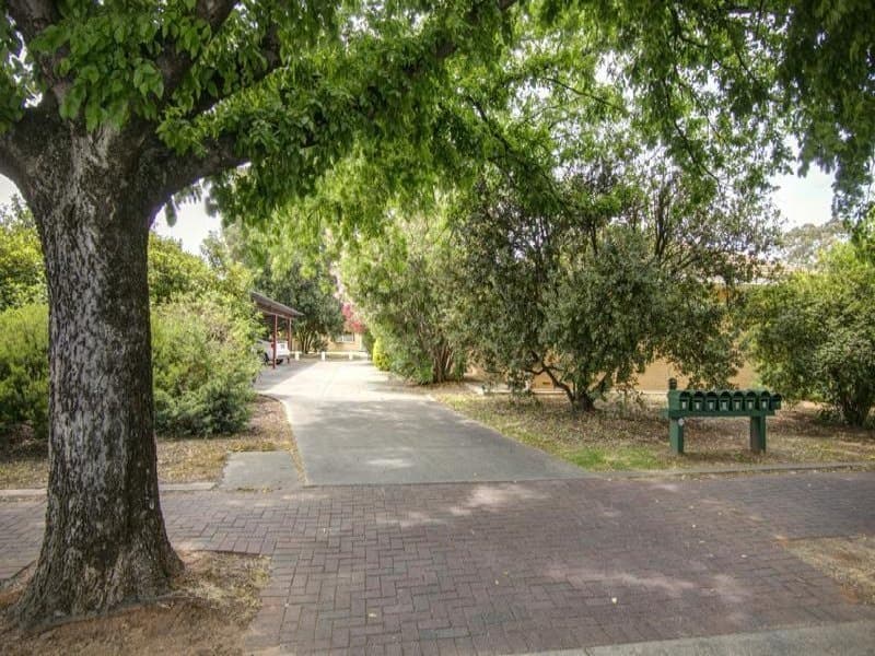 3/13 Adelaide Street, Maylands, SA, 5069, Maylands - Thumbnail 4