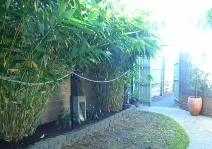 5, 36 Georgina Street, Woody Point, Woody Point - Thumbnail 5