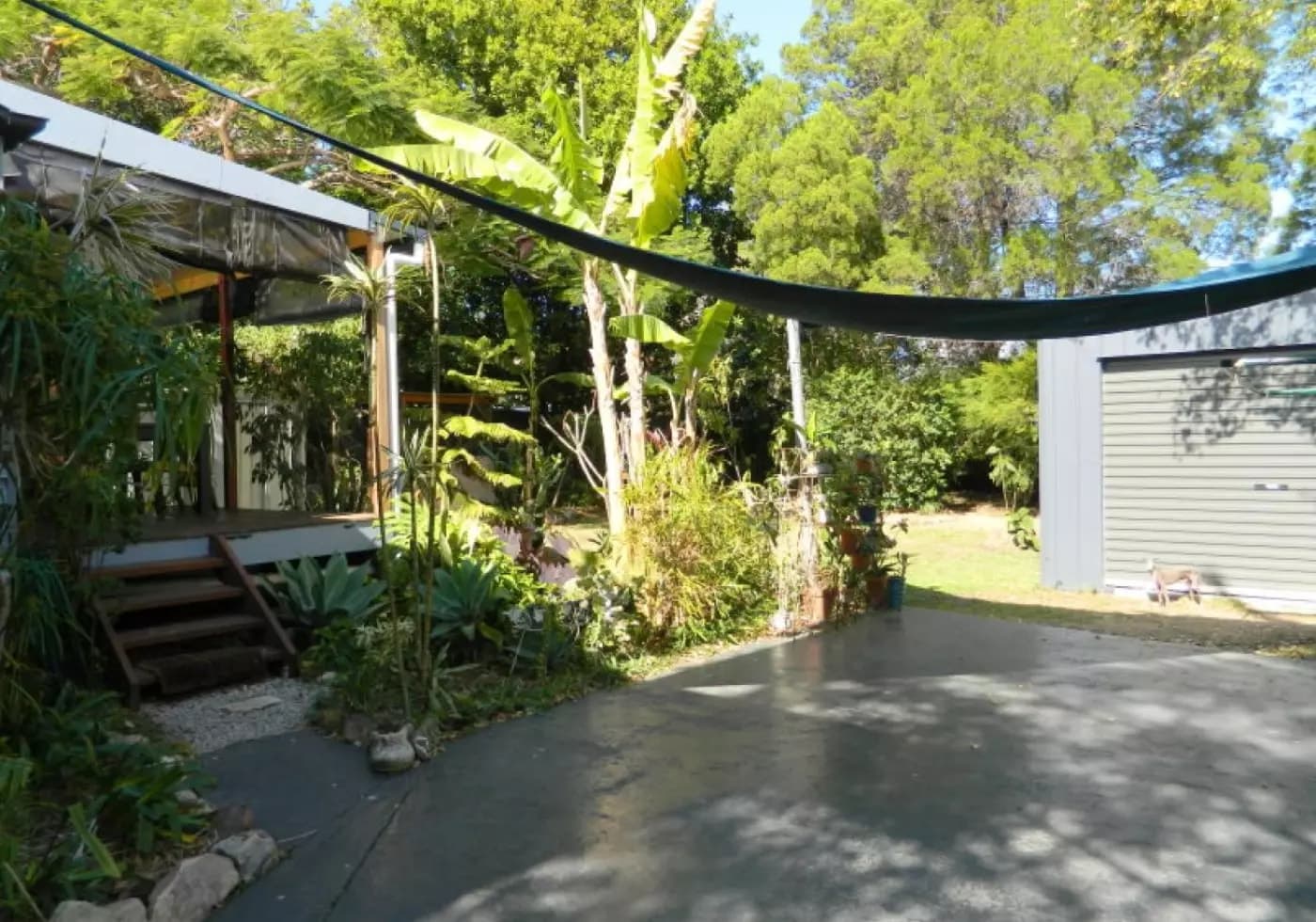 51 George Street, Kippa-ring, Kippa-Ring - Thumbnail 2
