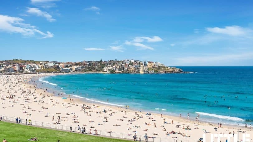 1/180 Wellington Street, BONDI BEACH NSW 2026, Bondi Beach - Thumbnail 8
