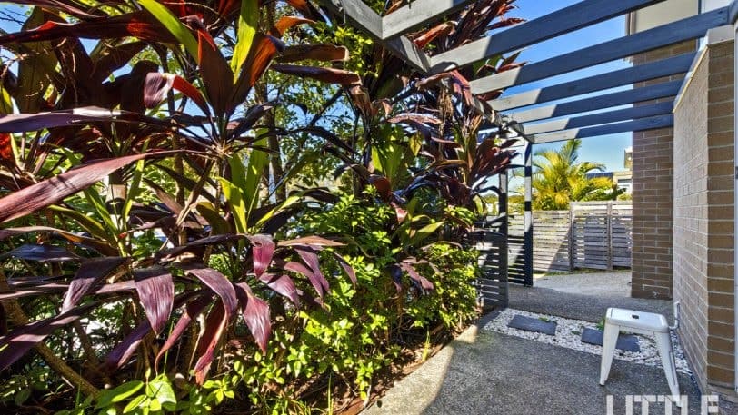 15 Savanna Gardens, PIMPAMA QLD 4209, Pimpama - Thumbnail 3