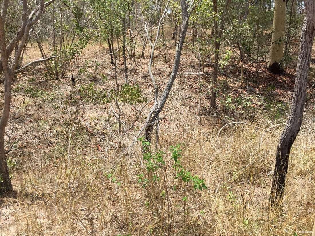 Tanderra Drive, South Kolan - Thumbnail 7