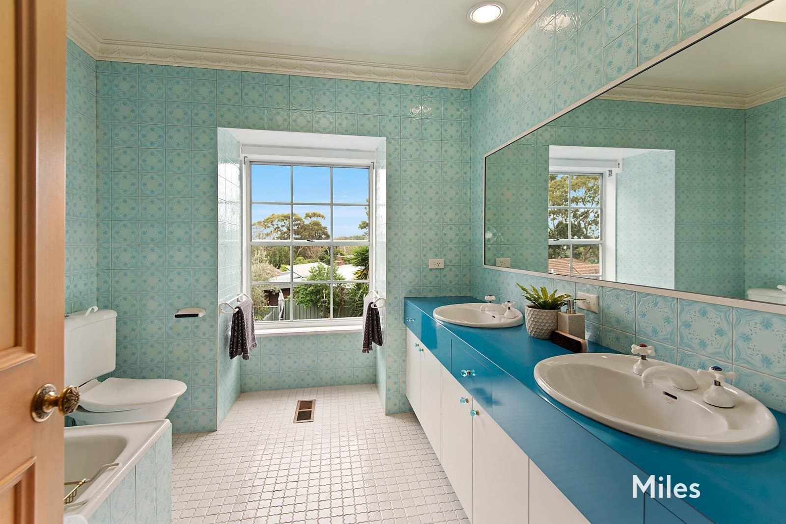 3 Walnut Road, Greensborough, Greensborough - Image 1