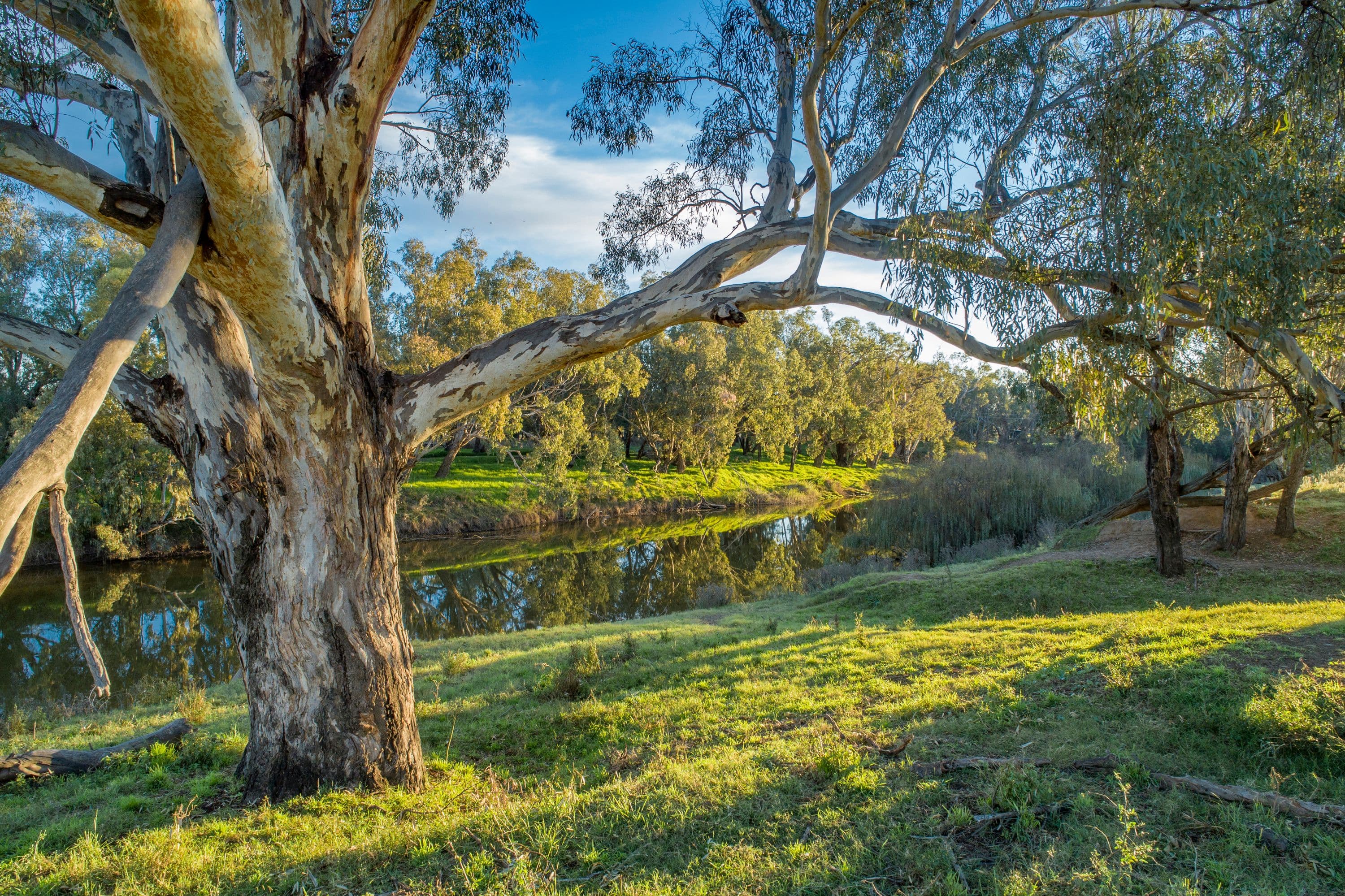 'Miriam' 2R Old Dubbo Road, Dubbo NSW 2830, Dubbo - Thumbnail 2