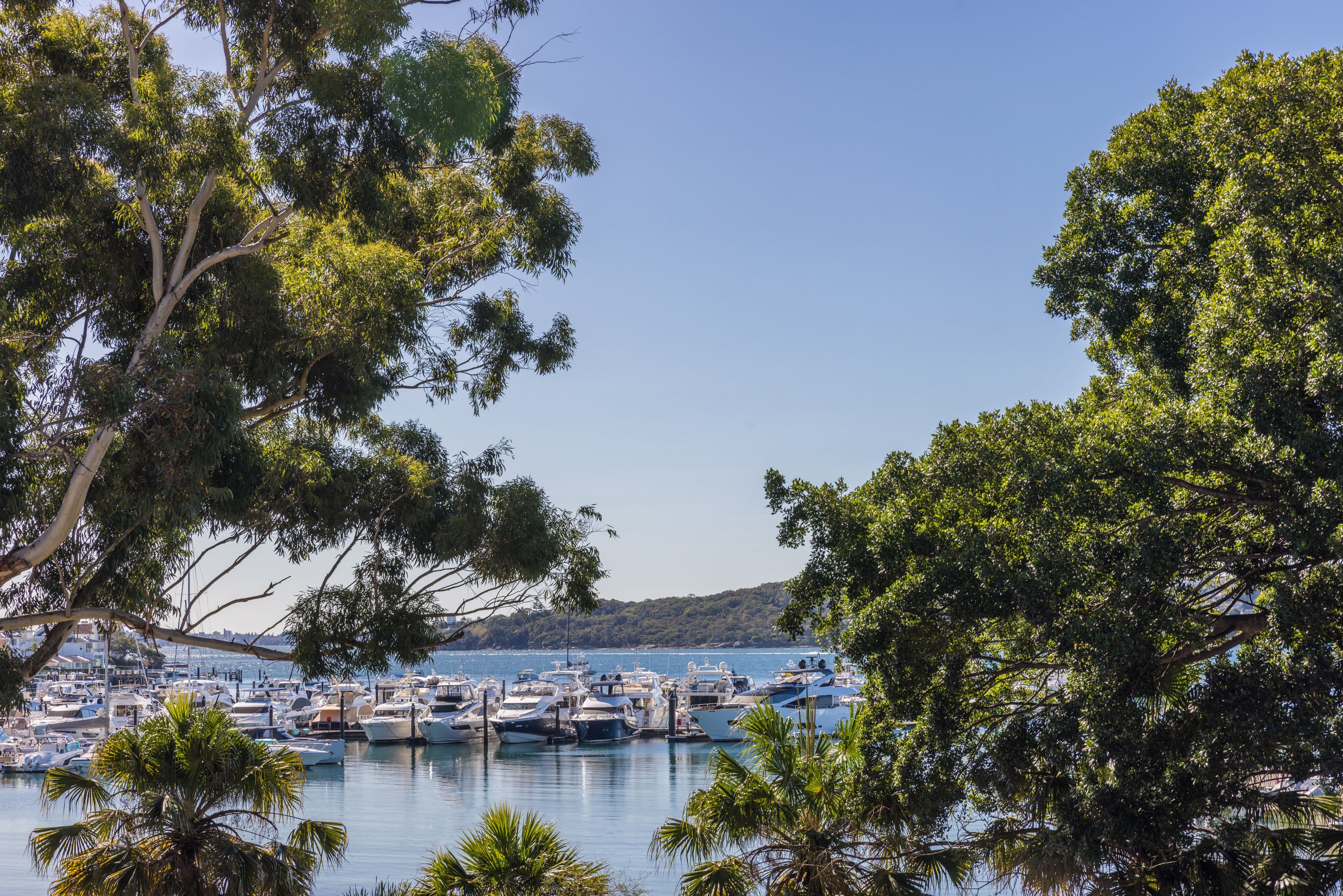 1A Rose Bay Avenue, Rose Bay NSW 2029, Rose Bay - Thumbnail 2