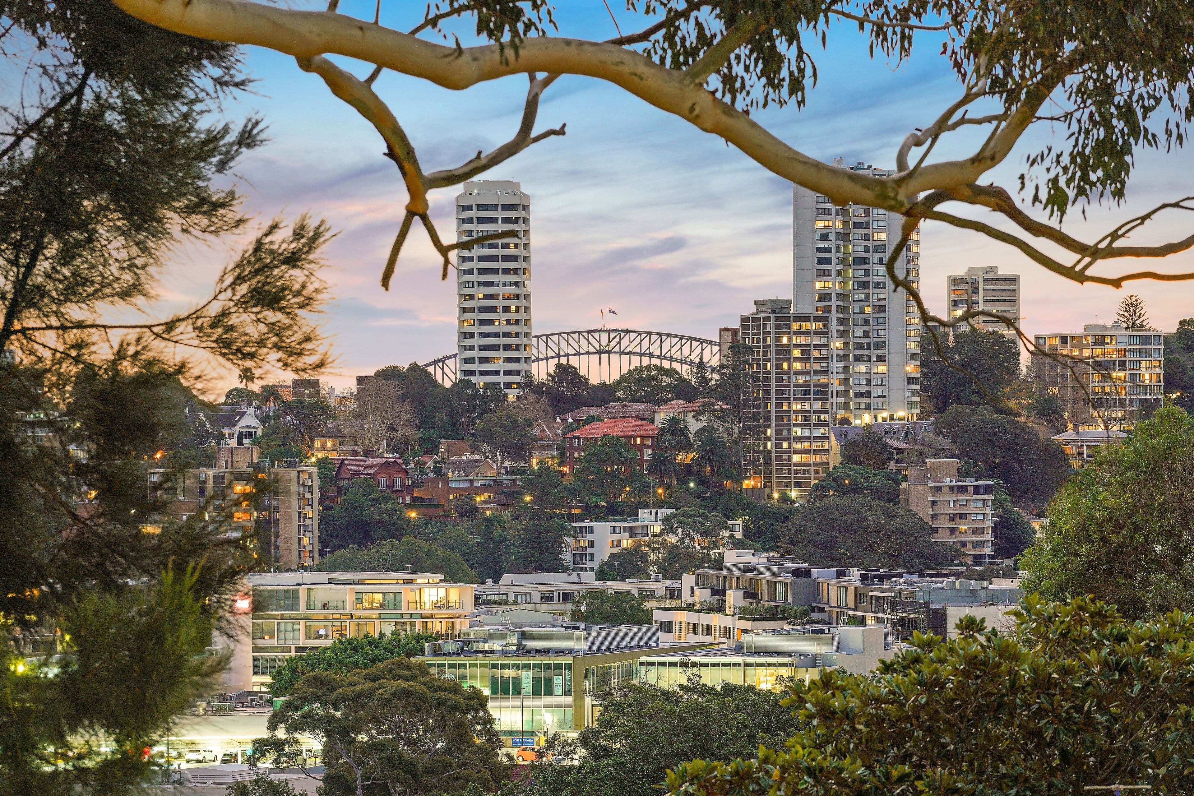 18 Arthur Street, Bellevue Hill NSW 2023, Bellevue Hill - Thumbnail 3