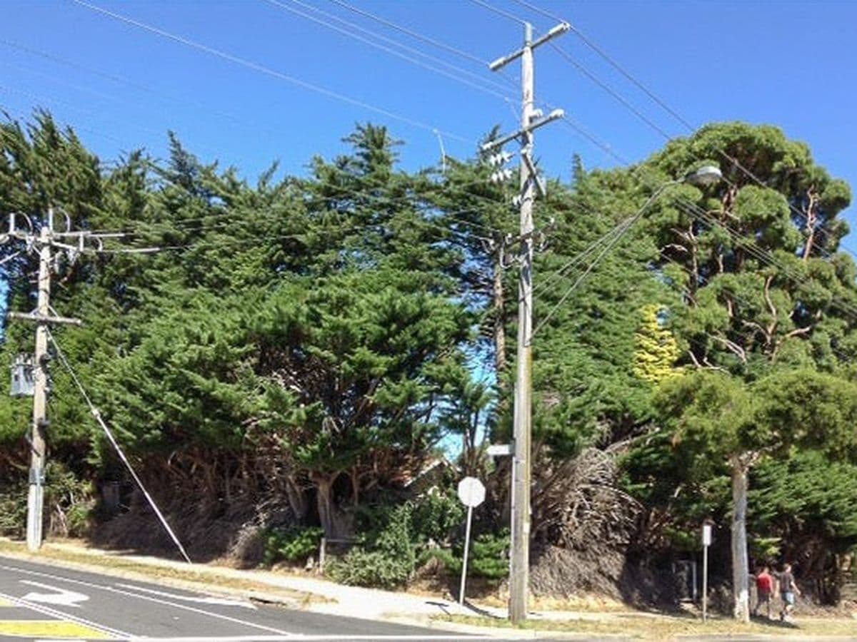 1530 Burwood Highway, Tecoma, Tecoma - Thumbnail 2