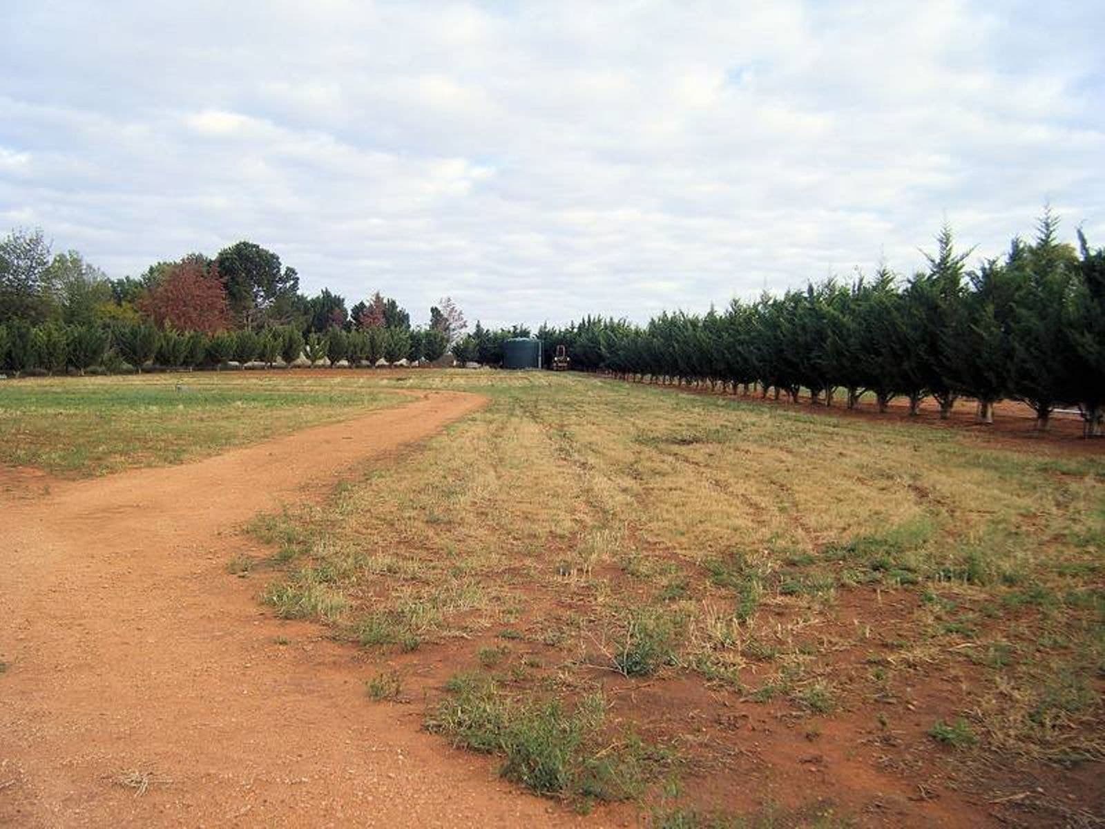 14 Bushland Rise, Koorlong - Thumbnail 3
