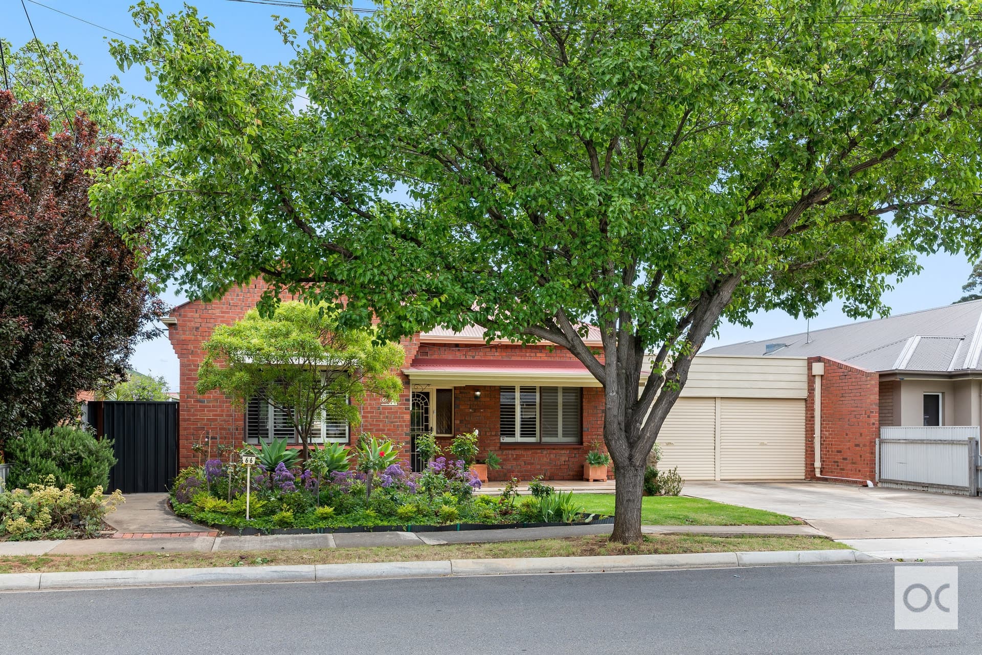66 Oval Avenue, Woodville South - Thumbnail 2