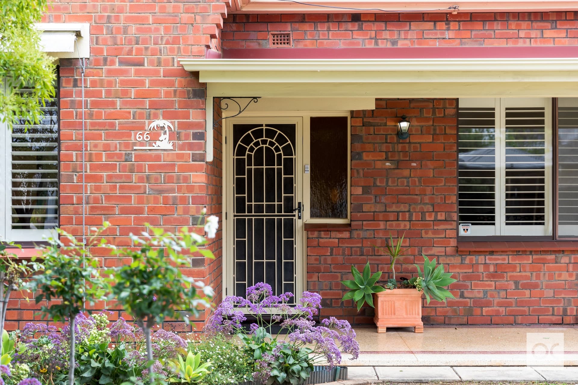 66 Oval Avenue, Woodville South - Thumbnail 3