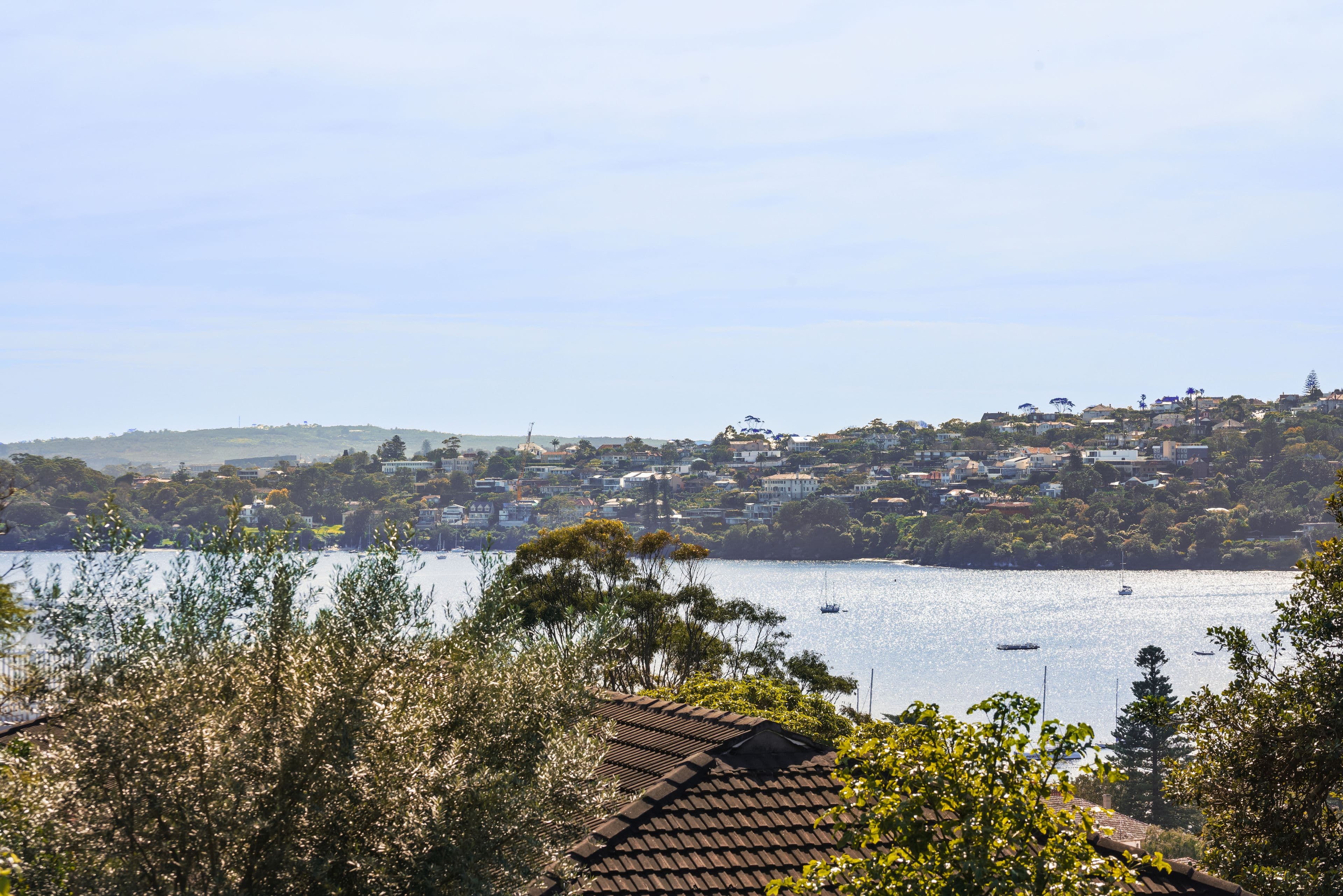 65 Cranbrook Road, Bellevue Hill NSW 2023, Bellevue Hill - Thumbnail 4