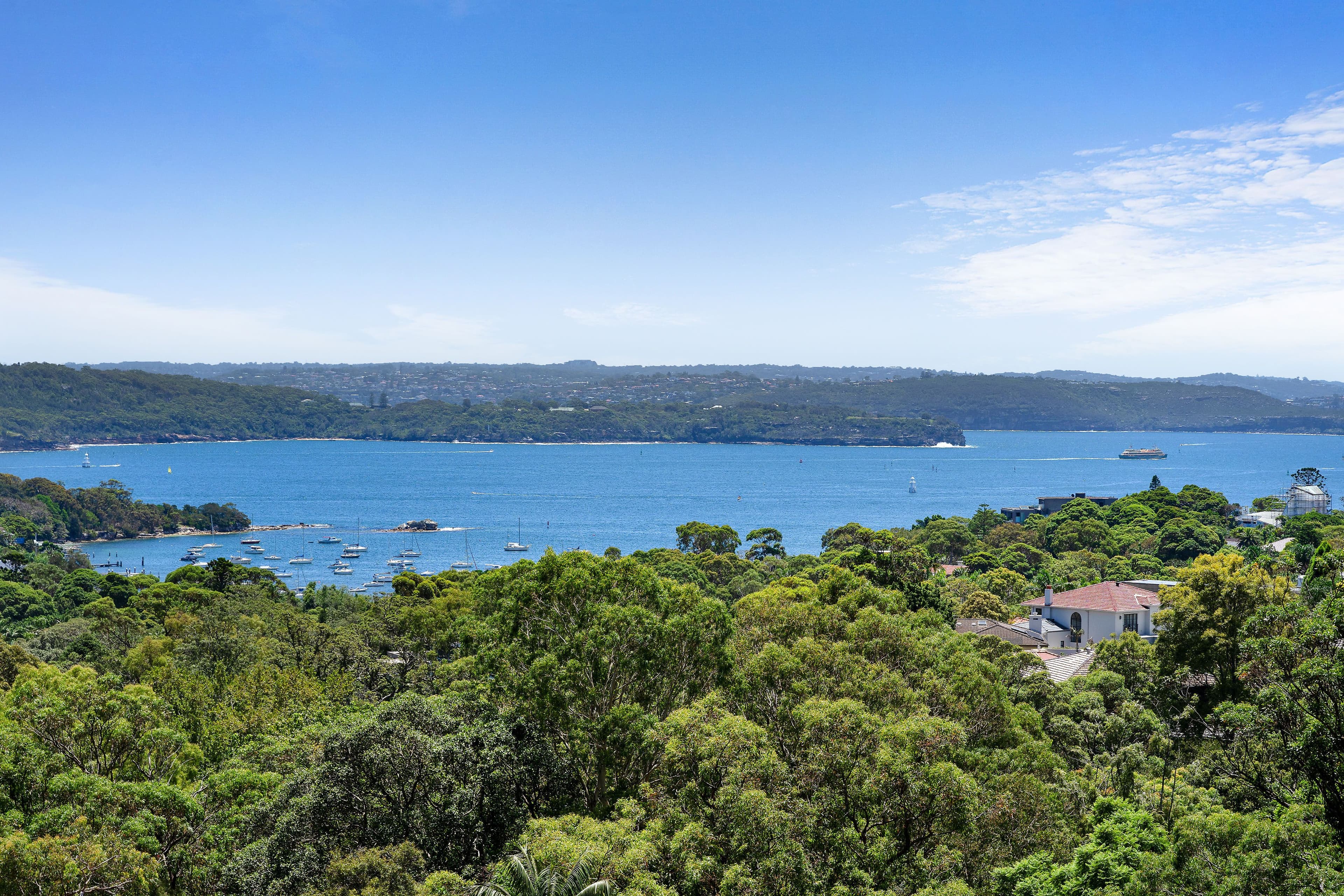14 Hopetoun Avenue, Vaucluse NSW 2030, Vaucluse - Thumbnail 3