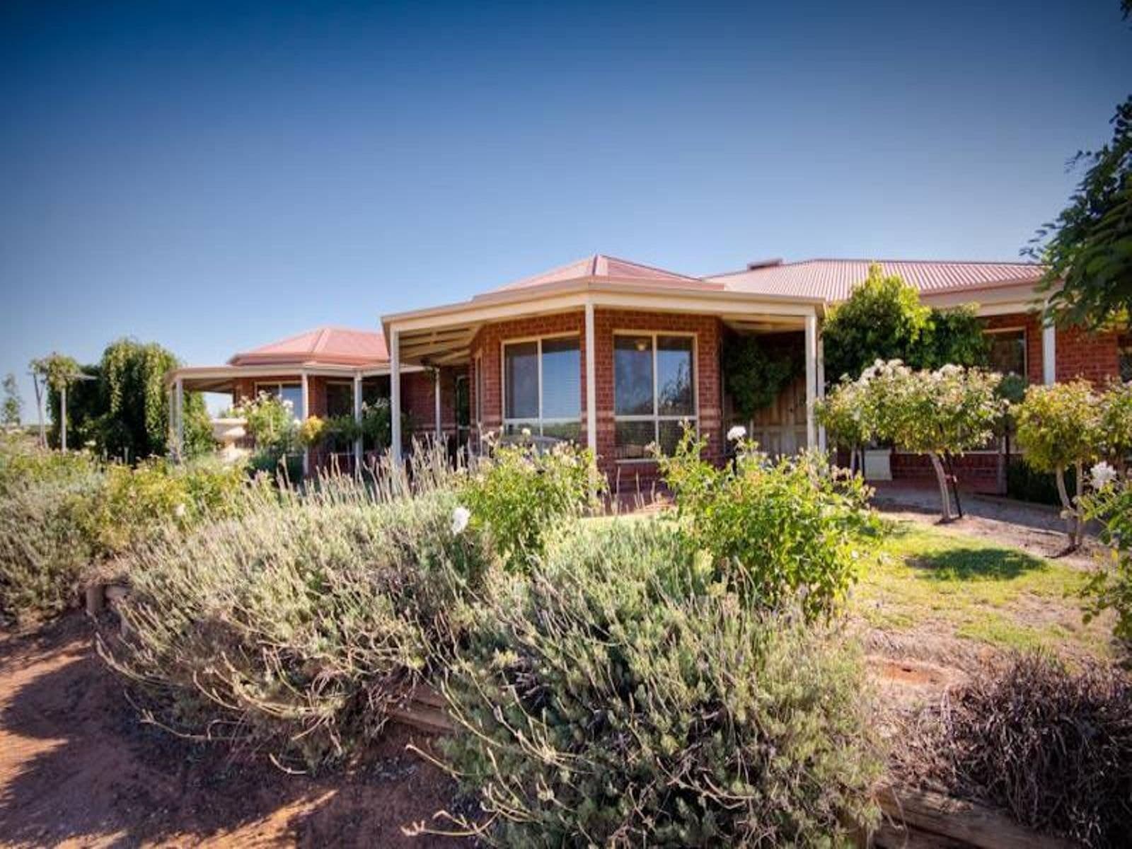 298 Millewa Road, Red Cliffs, VIC 3496, Red Cliffs - Image 1