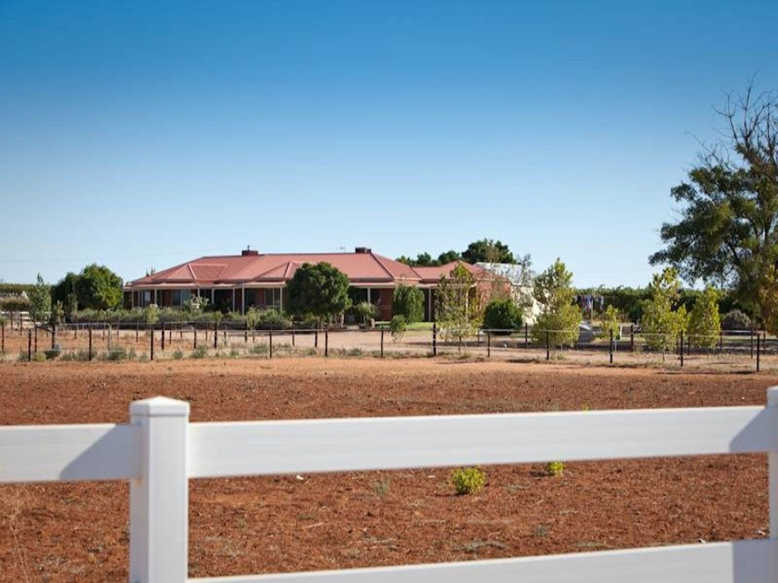 298 Millewa Road, Red Cliffs, VIC 3496, Red Cliffs - Thumbnail 3