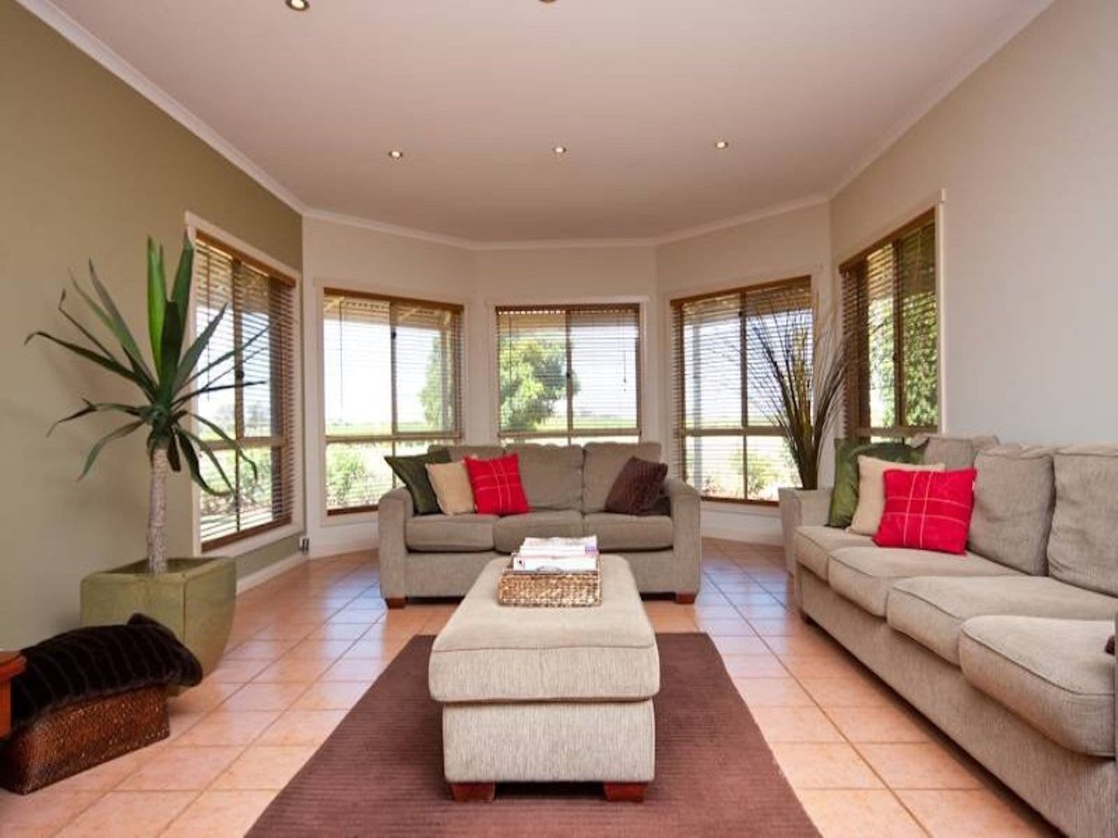 298 Millewa Road, Red Cliffs, VIC 3496, Red Cliffs - Thumbnail 4