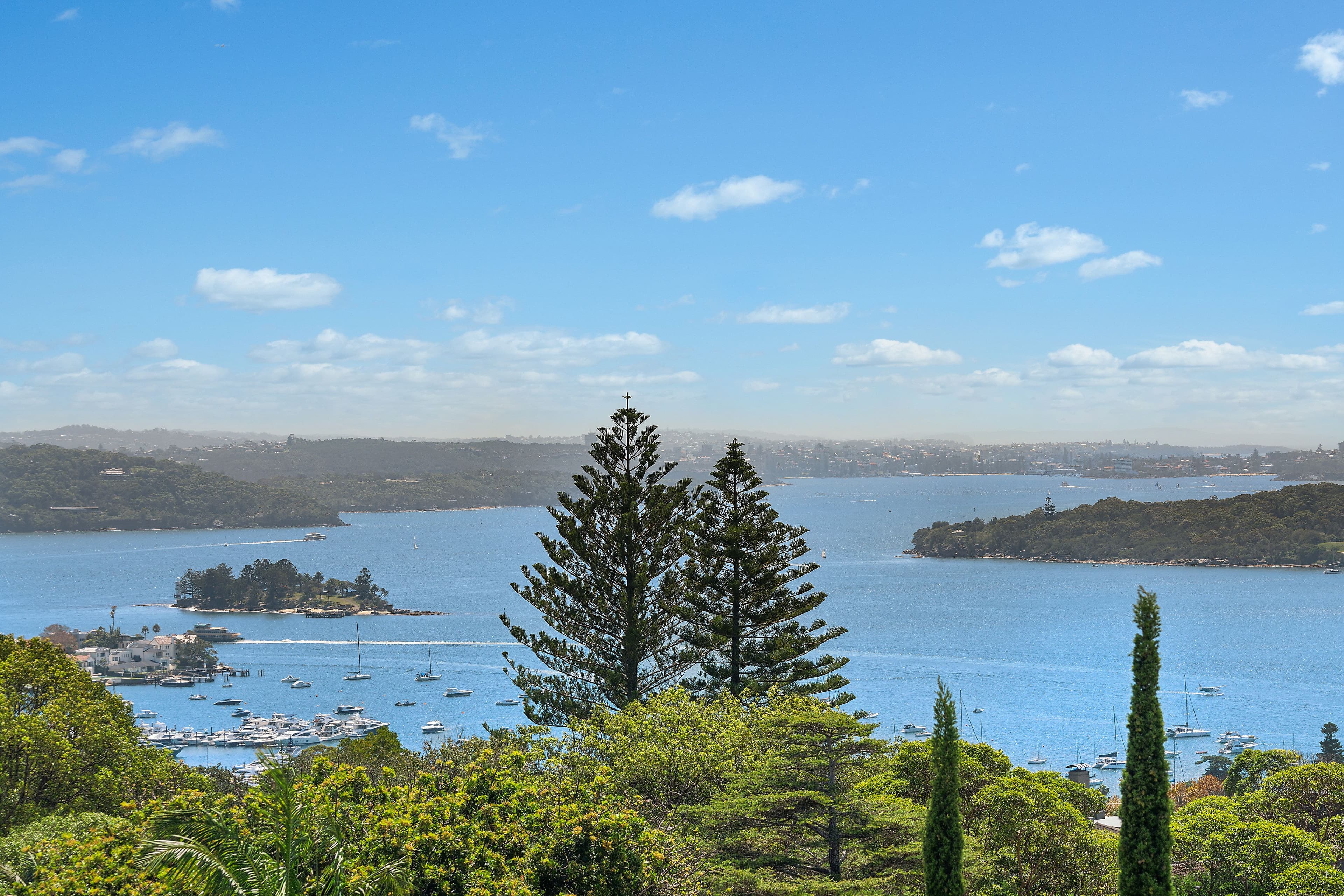 16 March Street, Bellevue Hill NSW 2023, Bellevue Hill - Thumbnail 5