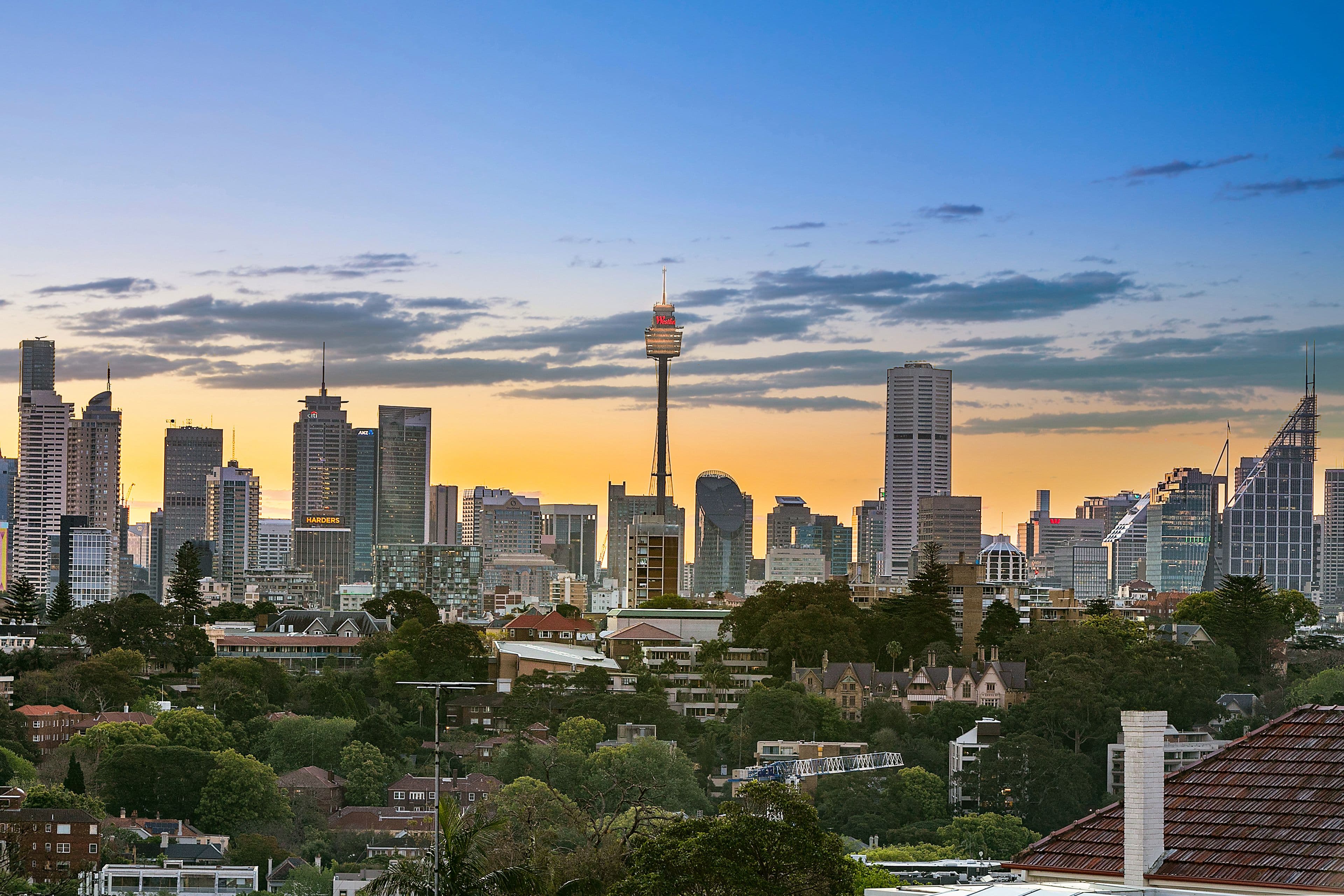 10 Bulkara Road, Bellevue Hill NSW 2023, Bellevue Hill - Thumbnail 8