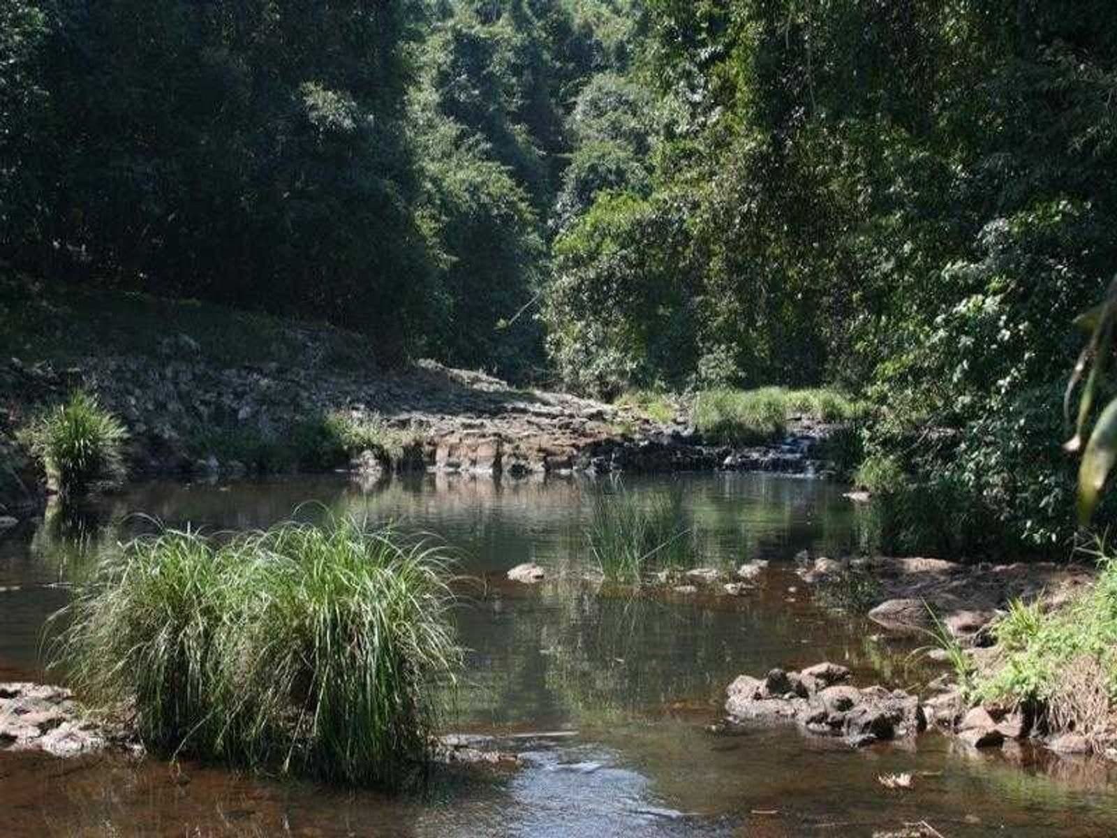 8 Friday Hut Road / 8 Killen Falls Drive, Tintenbar - Thumbnail 5